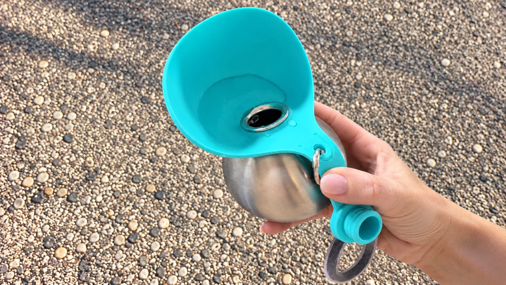 Tilting leftover water from the Walkmate bowl back into the bottle