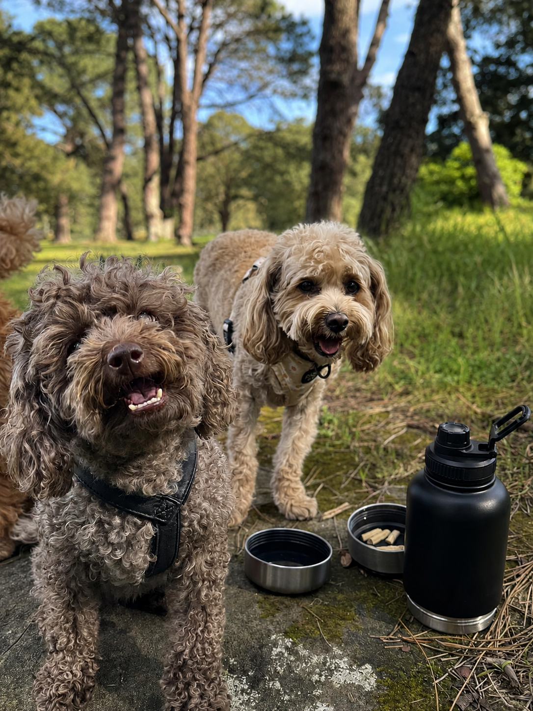 The Companion Flask