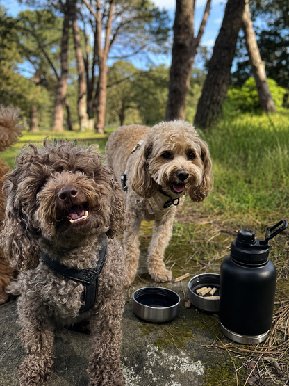 The Companion Flask